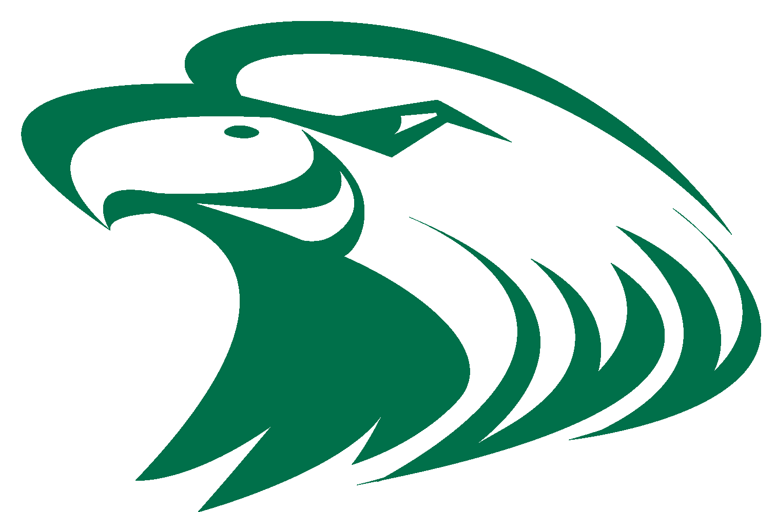 Team logo